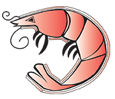 logo shrimp